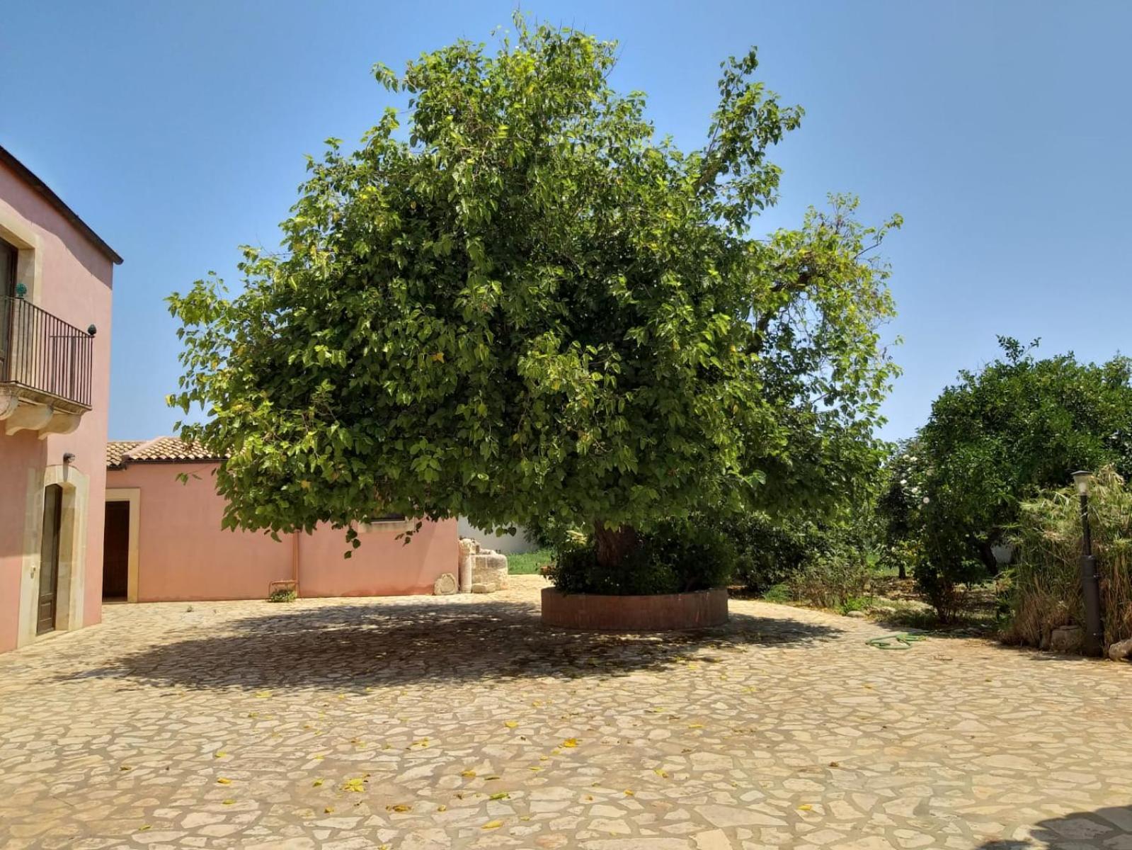 منزل الضيف سيراكوزا  في Antica Gebbia المظهر الخارجي الصورة